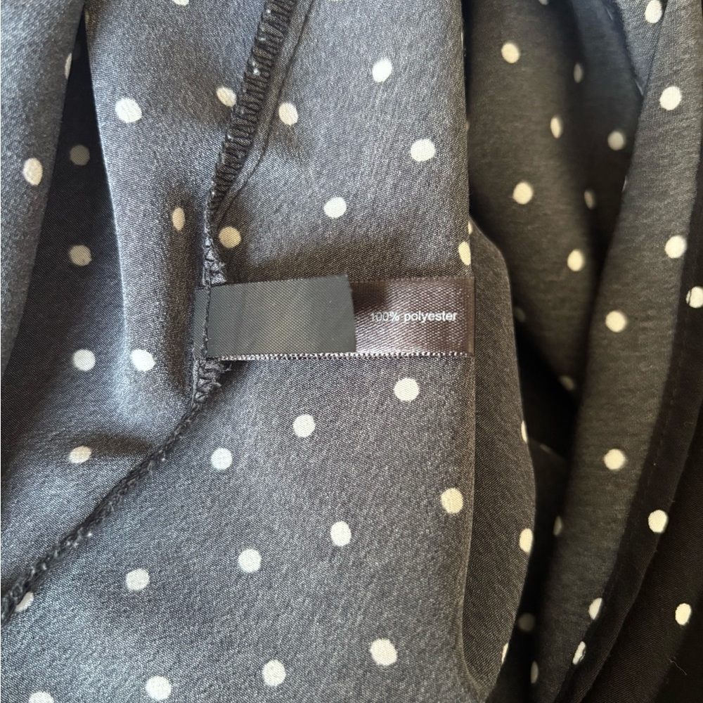The Limited | Black and White Polka Dot Dress - Picture 6 of 6